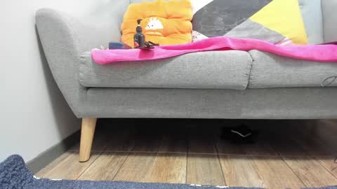 PrittiDitti online show from January 22, 2025, 2:04 am