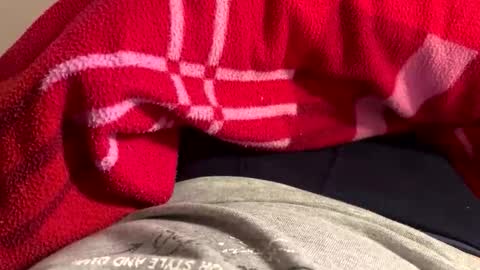 privat2025 online show from February 1, 2026, 8:29 pm