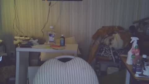 projectorepson online show from March 20, 2026, 7:52 pm