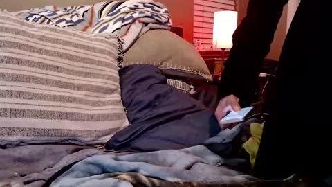 Snapshot of psilocipher chatting on February 10, 2026, 7:56 am Sk8wave online show from February 10, 2026, 7:56 am