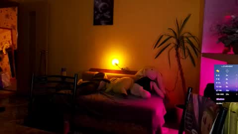 LUCY -----    online show from February 18, 2026, 11:50 am