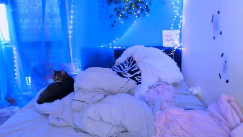 Snapshot of pufpufog chatting on May 13, 2026, 2:25 pm EsteticHouse online show from May 13, 2026, 2:25 pm