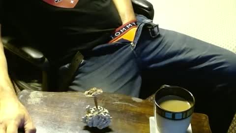 Jojo online show from October 12, 2025, 12:31 am