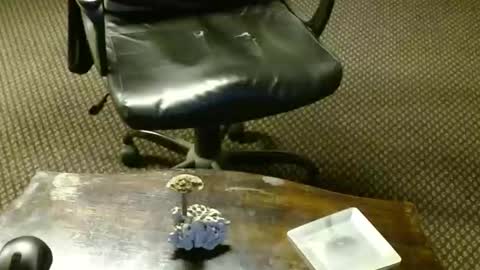 Jojo online show from October 16, 2025, 9:27 pm