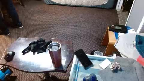 Jojo online show from April 2, 2026, 5:38 am