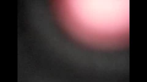 Bart online show from January 11, 2026, 12:32 pm