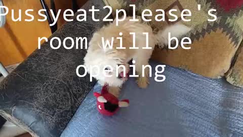 Snapshot of pussyeat2please chatting on February 16, 2025, 8:33 pm Rick online show from February 16, 2025, 8:33 pm