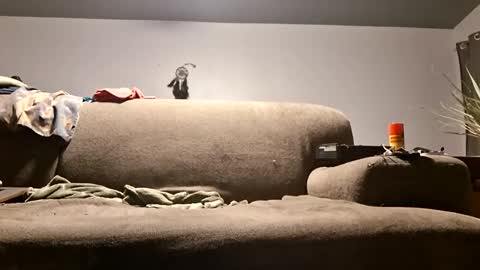 pussylicker517038 online show from April 20, 2026, 10:07 am