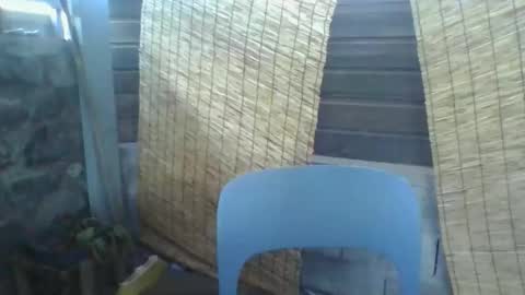 Python online show from March 10, 2026, 2:27 am