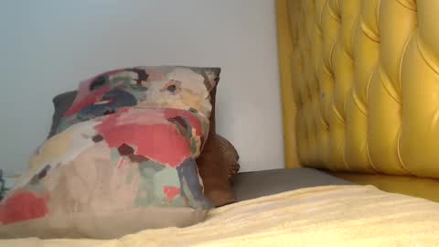 valdonte online show from November 20, 2025, 2:12 am