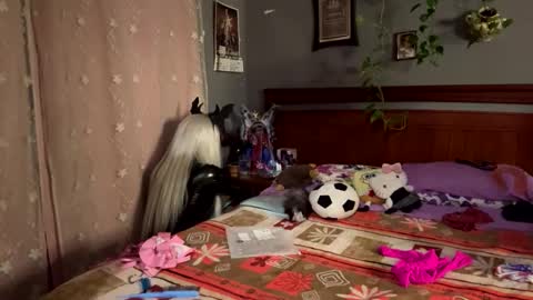 queenchaina online show from November 22, 2025, 6:34 am