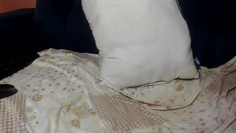 queenchloe1 online show from July 20, 2026, 10:50 am
