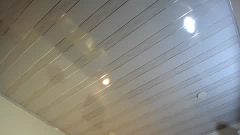 Snapshot of queenpink777 chatting on December 19, 2024, 12:23 pm Rose online show from December 19, 2024, 12:23 pm