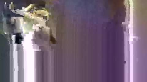 r04233054 online show from January 10, 2026, 8:16 am