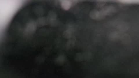 Snapshot of r9dima1998 chatting on March 11, 2025, 7:58 pm Dmitry online show from March 11, 2025, 7:58 pm