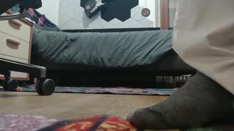 Raccoon68 online show from December 20, 2025, 7:32 pm