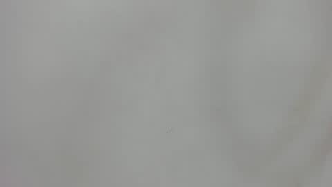 Snapshot of raf__koons chatting on July 22, 2026, 3:09 am Raf Koons online show from July 22, 2026, 3:09 am