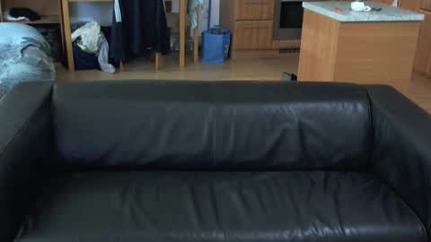 rafaelosteel online show from November 1, 2025, 1:07 am