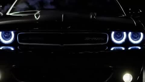 rah_8151 online show from January 17, 2025, 5:30 pm