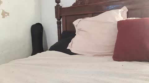 Snapshot of ranthanplan46 chatting on February 7, 2025, 12:17 pm Ran online show from February 7, 2025, 12:17 pm