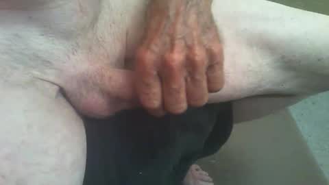 rattcatt online show from May 13, 2026, 1:41 pm