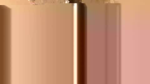 Snapshot of rawdogchewdog chatting on November 26, 2025, 2:34 am Mountain Man online show from November 26, 2025, 2:34 am