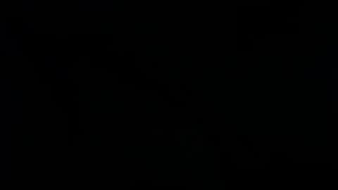 Snapshot of raycatt chatting on January 25, 2025, 2:47 am Ray online show from January 25, 2025, 2:47 am