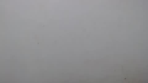 Snapshot of raycatt chatting on February 1, 2025, 2:16 am Ray online show from February 1, 2025, 2:16 am