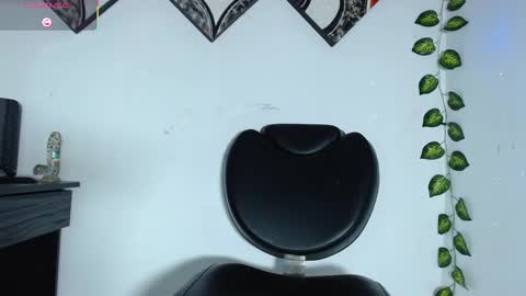 Snapshot of raycatt chatting on February 12, 2025, 4:54 am Ray online show from February 12, 2025, 4:54 am