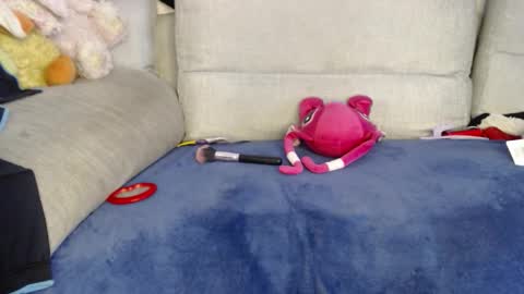 Snapshot of raycatt chatting on January 8, 2026, 6:32 pm Ray online show from January 8, 2026, 6:32 pm