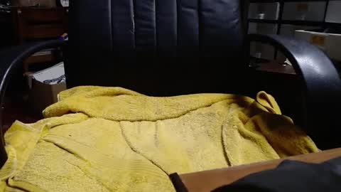 Ray online show from April 3, 2026, 1:36 am