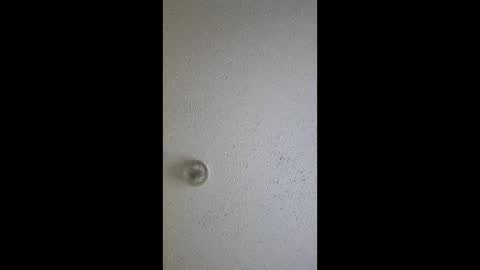 Snapshot of razalgirls chatting on March 3, 2026, 9:21 pm razalgirls online show from March 3, 2026, 9:21 pm