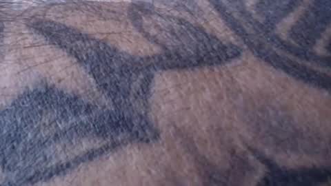 Snapshot of realrubpirate chatting on January 18, 2025, 9:02 am realrubpirate online show from January 18, 2025, 9:02 am