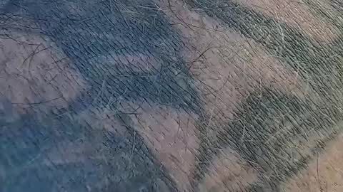 Snapshot of realrubpirate chatting on September 9, 2025, 9:31 am realrubpirate online show from September 9, 2025, 9:31 am