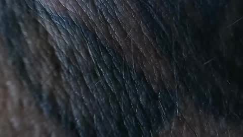 Snapshot of realrubpirate chatting on September 26, 2025, 8:51 am realrubpirate online show from September 26, 2025, 8:51 am