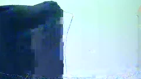 Snapshot of rebell093 chatting on February 2, 2025, 9:40 am rebell093 online show from February 2, 2025, 9:40 am