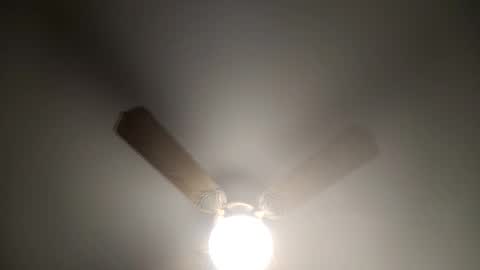 red24devils online show from March 12, 2025, 5:13 am