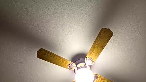 Snapshot of red24devils chatting on February 18, 2026, 12:50 am red24devils online show from February 18, 2026, 12:50 am