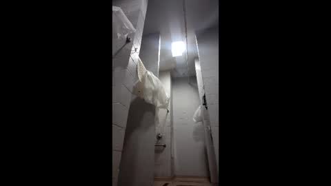 reeddave654 online show from February 25, 2026, 6:56 am