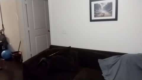 shy online show from September 21, 2025, 8:38 am