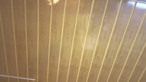 renaxi_smith online show from February 22, 2026, 7:34 pm