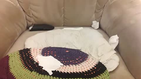 Mark online show from April 11, 2026, 7:45 am