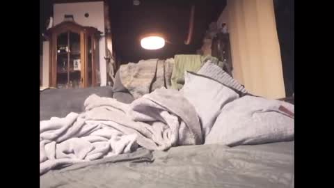 Rey online show from January 5, 2026, 9:51 pm