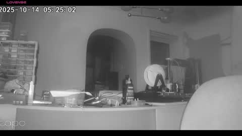 reza240782 online show from October 14, 2025, 4:24 am