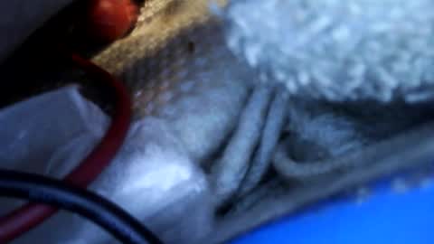 rgglen986 online show from February 14, 2026, 2:36 pm