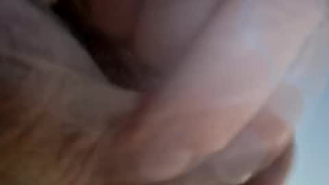 Snapshot of ridik2222333375562 chatting on April 13, 2026, 2:28 am ridik2222333375562 online show from April 13, 2026, 2:28 am