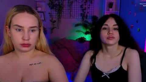 Meow online show from June 13, 2026, 7:12 pm