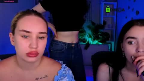 Meow online show from June 29, 2026, 7:03 pm