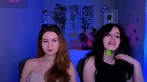 Meow online show from July 1, 2026, 7:24 pm