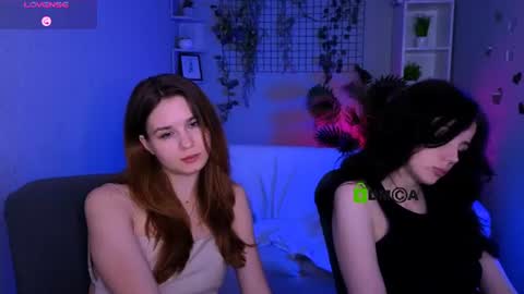 Meow online show from July 2, 2026, 3:23 am